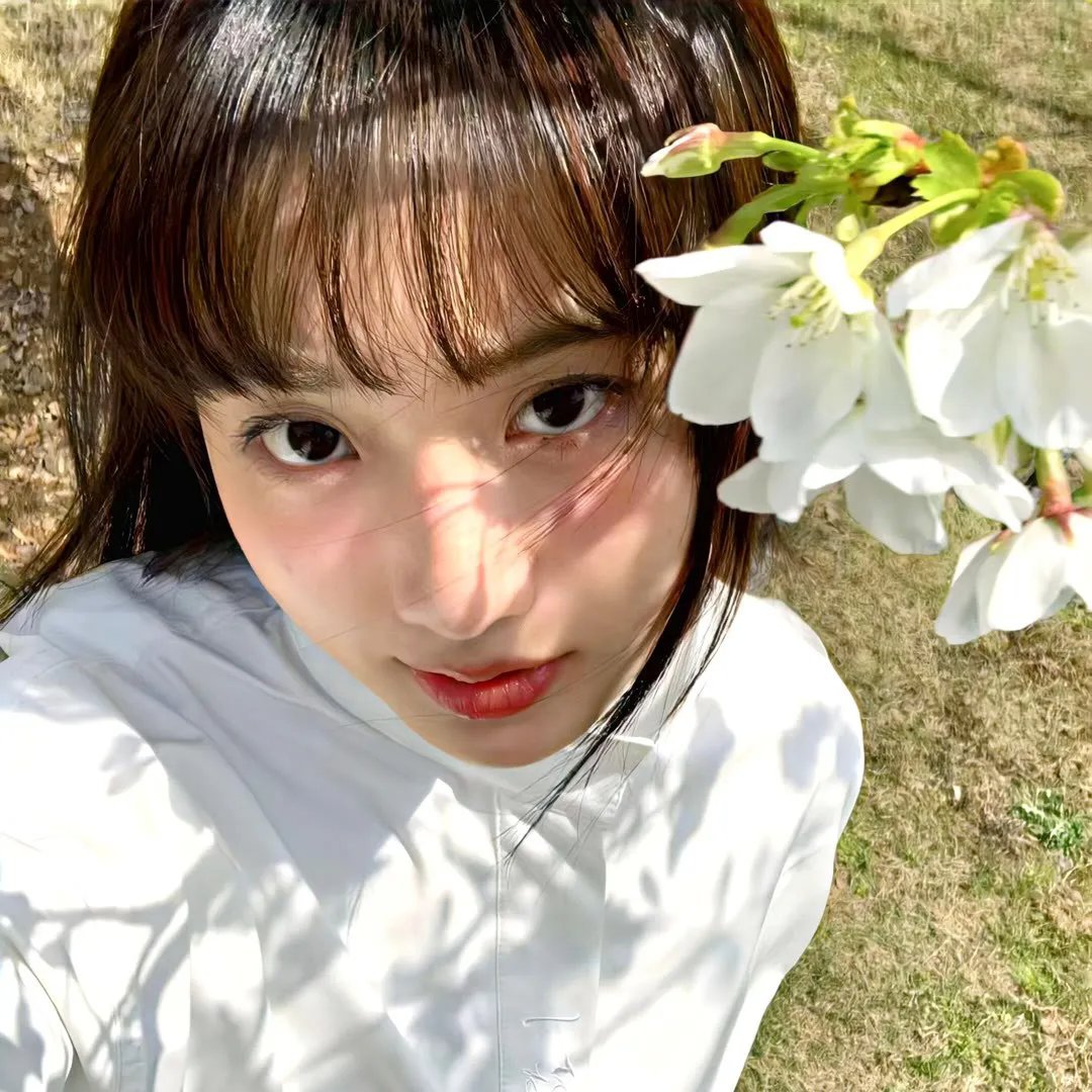 碧娜鲍许
